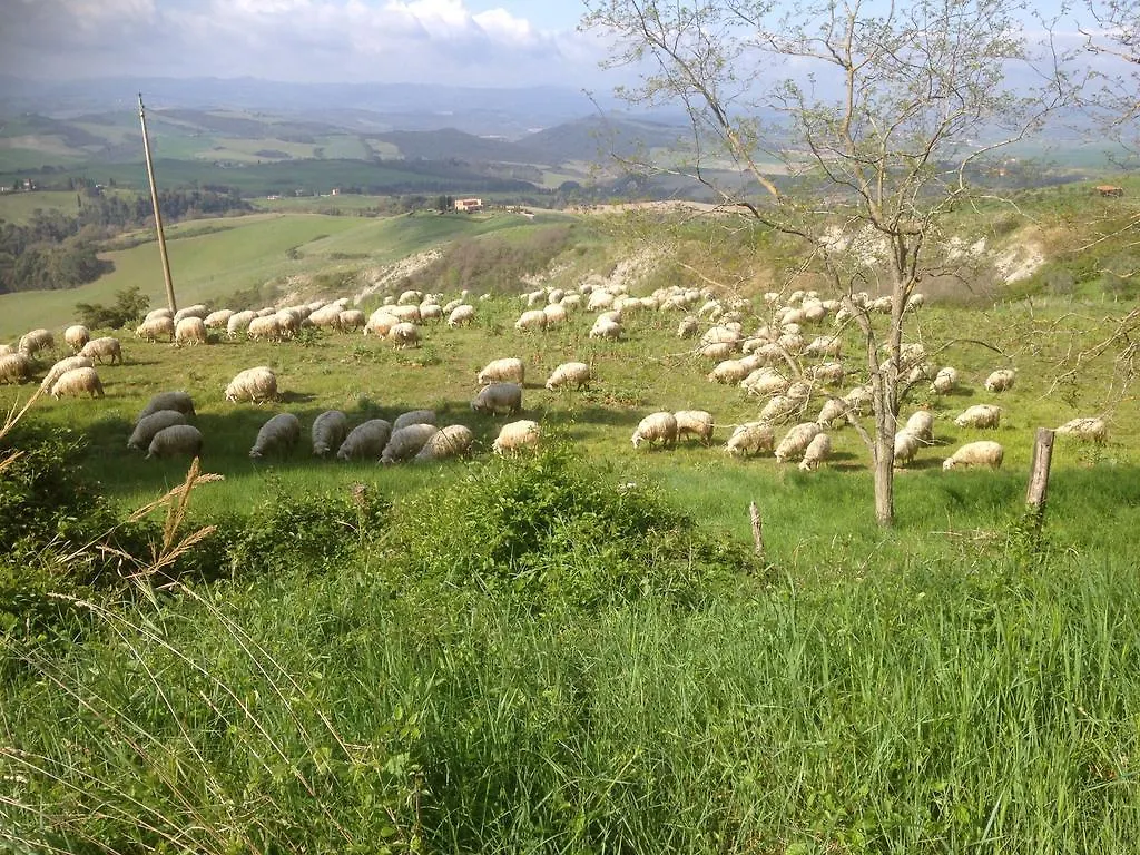 לינה וארוחת בוקר וולטרה In Canto Sul Poggio